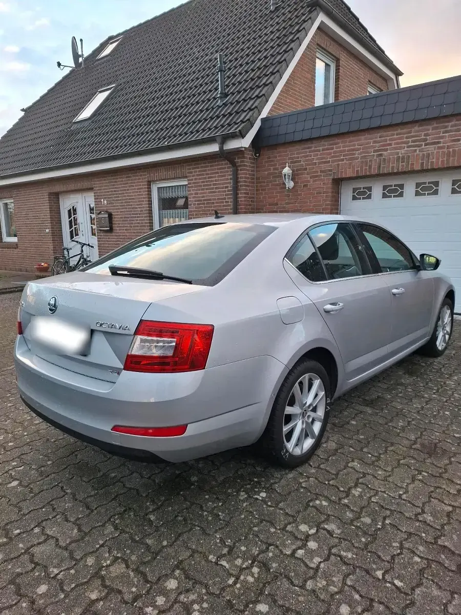 Gebraucht Skoda Octavia 150 PS (110 kW) 2014 Silber Kombi