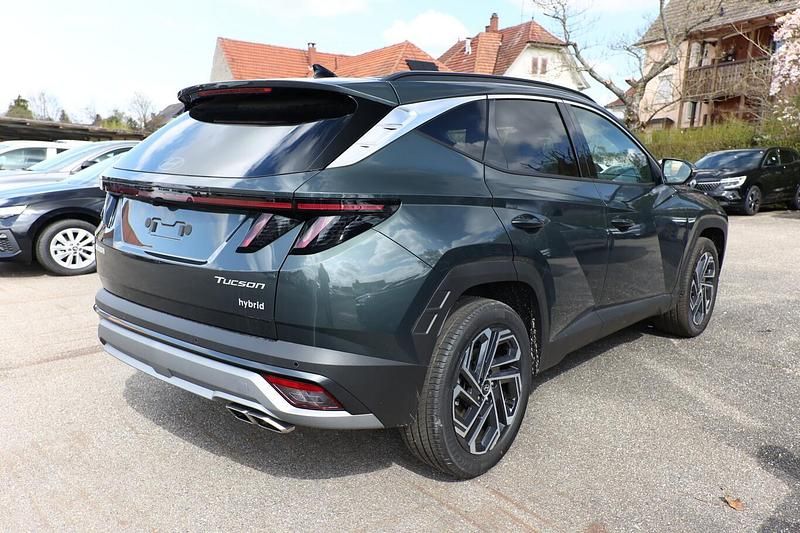 Neu Hyundai Tucson 239 PS (175 kW) 2025 Cypress green mineraleffekt SUV
