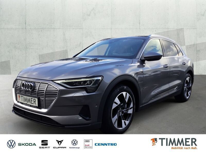 Grau Gebraucht 2020 Audi e-tron Basis SUV | 24.999 € (Fairer Preis) - Bild 1/4