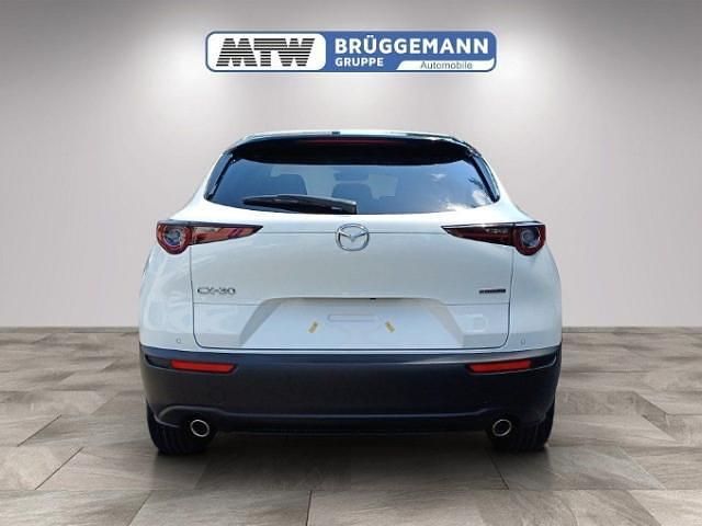 Gebraucht Mazda CX-30 Homura-Line 140 PS (102 kW) 2025 Weiß SUV