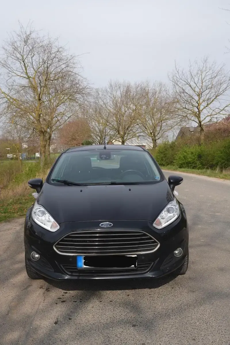 Gebraucht Ford Fiesta Trend 101 PS (74 kW) 2015 Schwarz Kleinwagen