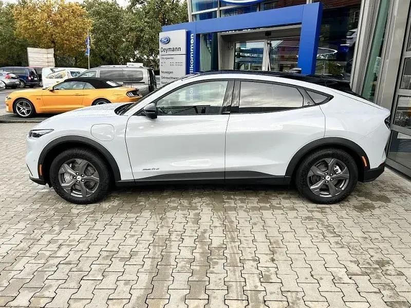 Gebraucht Ford Mustang Mach-E Standard Range 197 kW (269 PS) 2025 Space white SUV