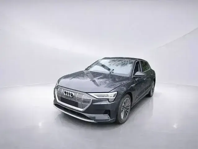 Gebraucht Audi e-tron Advanced Plus 300 kW (408 PS) 2023 Grau SUV