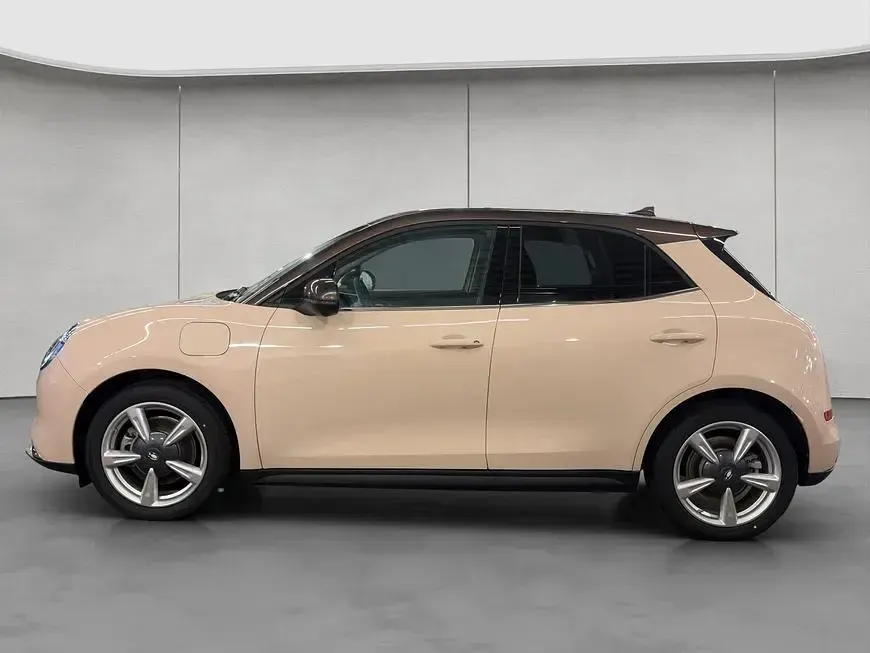 Nuevo Ora 03 125 kW (171 CV) 2025 Beige Utilitario