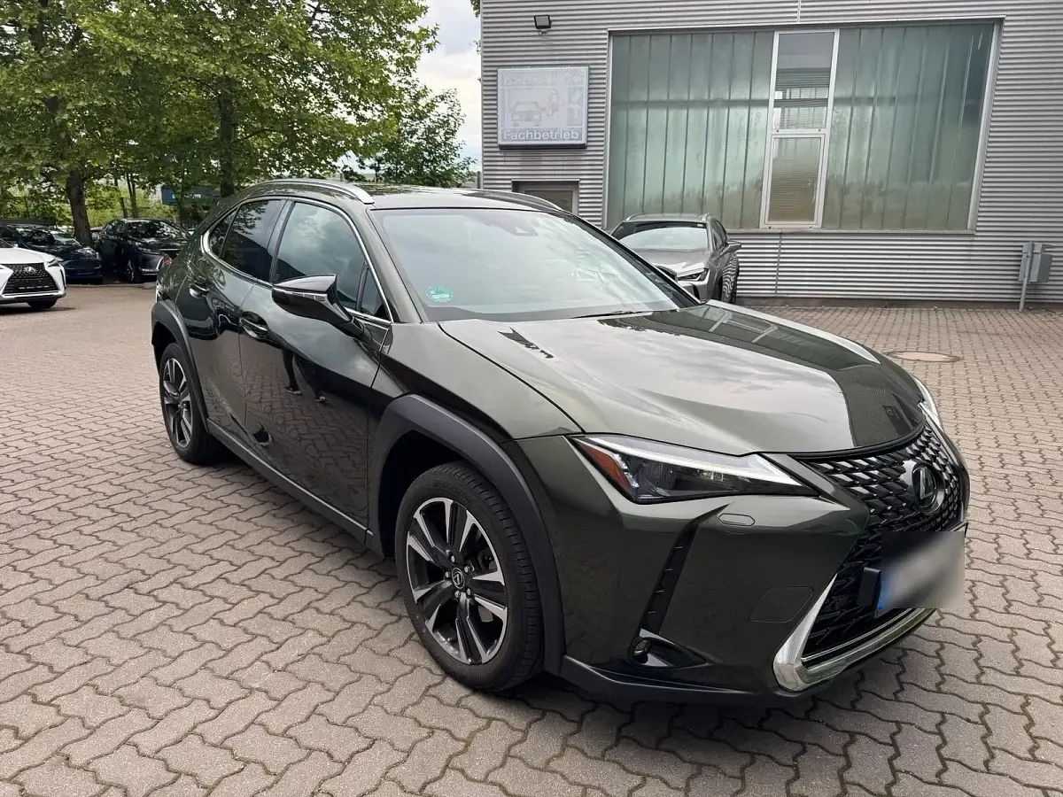 Gebraucht Lexus UX 184 PS (135 kW) 2023 Grün SUV
