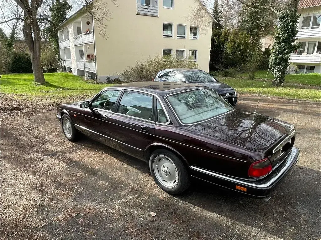 Gebraucht Jaguar X300 Executive 211 PS (155 kW) 1996 Violett Limousine