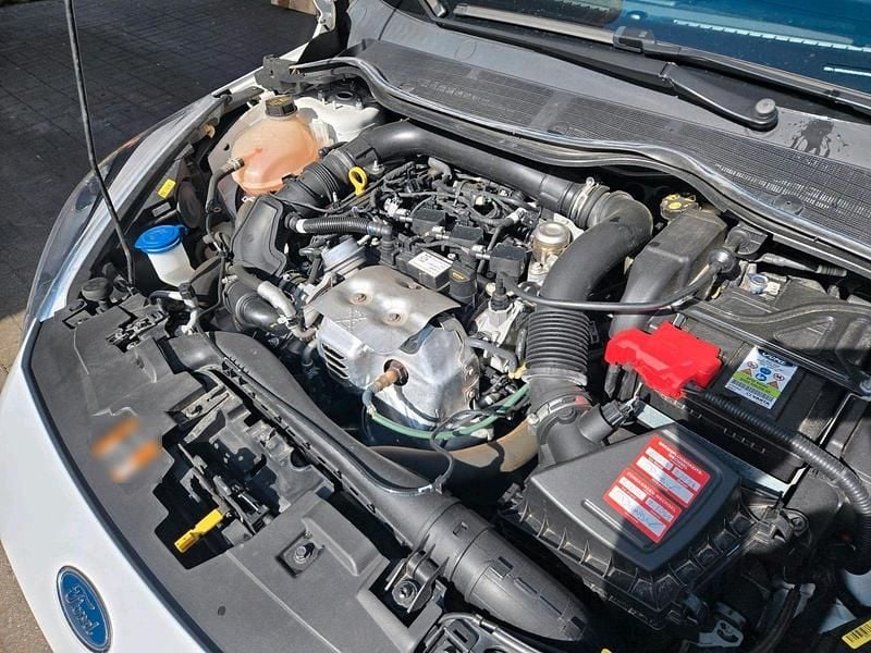 Gebraucht Ford Fiesta Active 101 PS (74 kW) 2019 Weiß Kleinwagen