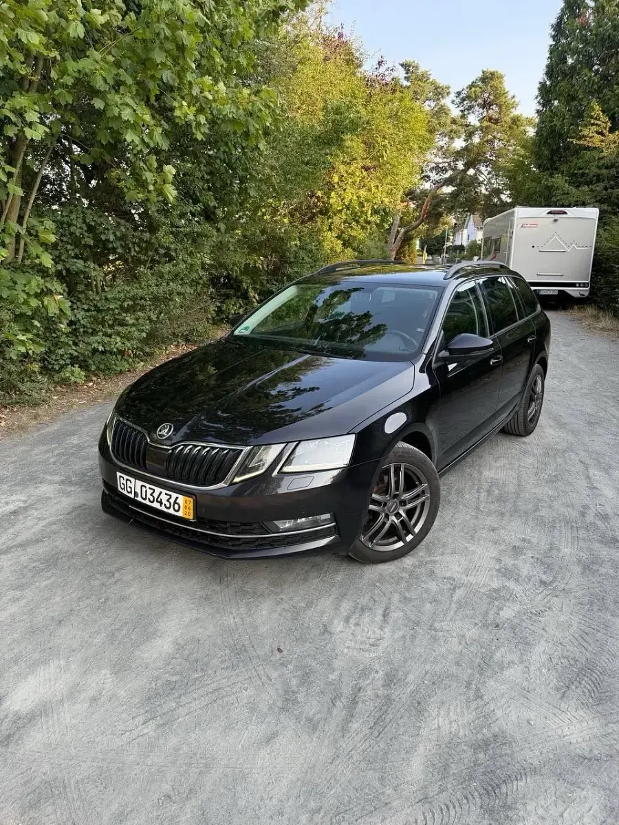 Gebraucht Skoda Octavia 150 PS (110 kW) 2019 Schwarz Kombi