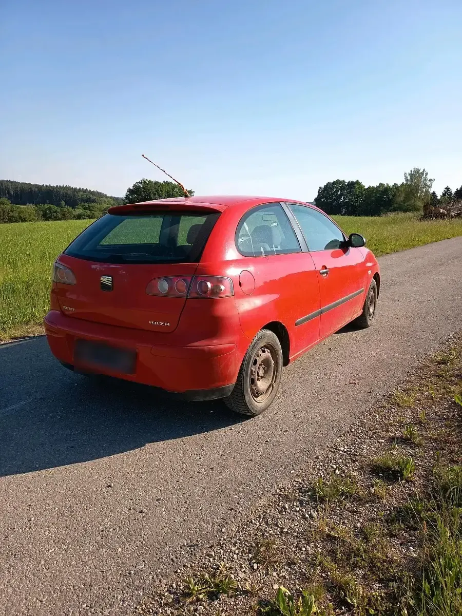 Używany Seat Ibiza 75 KM (55 kW) 2004 Hatchback