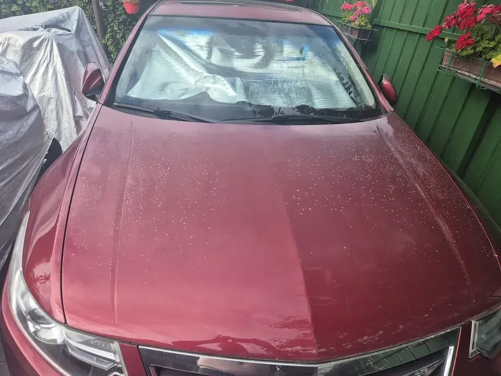 Gebraucht Honda Accord Executive 156 PS (114 kW) 2012 Rot Limousine