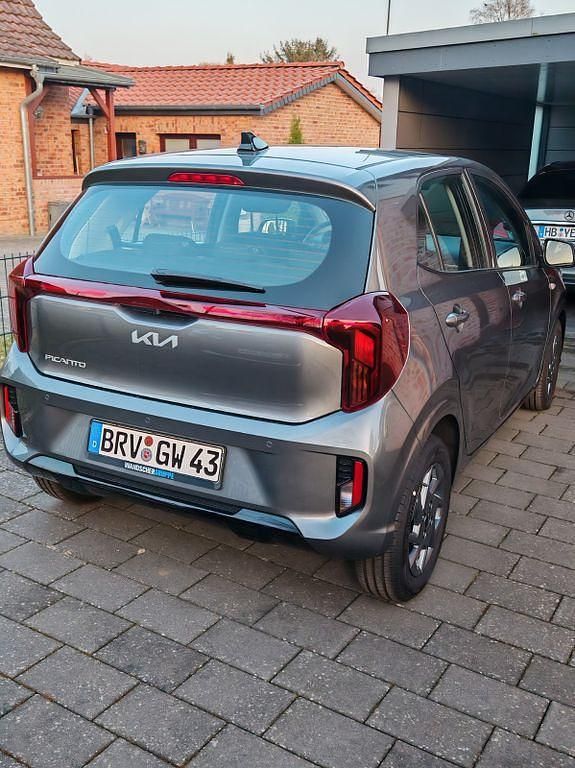 Neu Kia Picanto Vision 63 PS (46 kW) 2025 Grau Kleinwagen