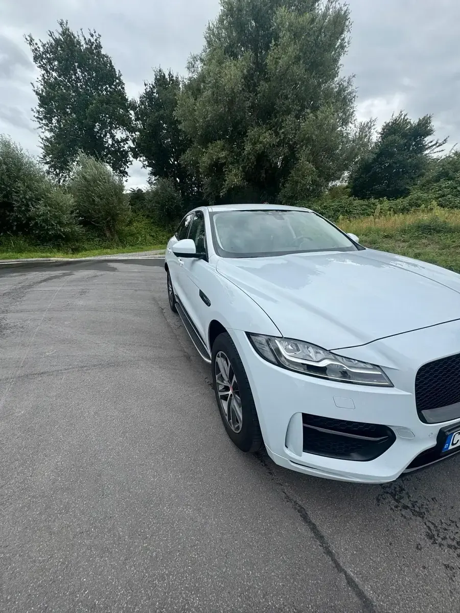 Gebraucht Jaguar F-Pace R-Sport 250 PS (183 kW) 2019 Weiß SUV