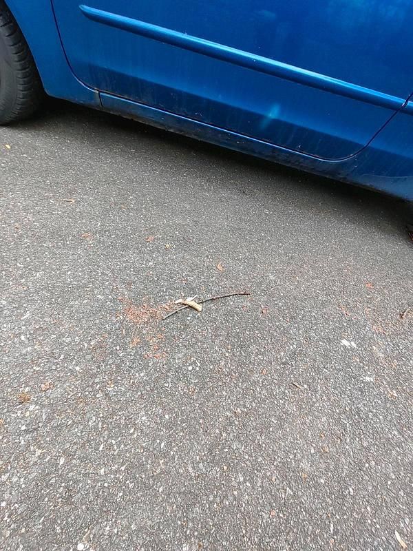 Gebraucht Mitsubishi Colt 75 PS (55 kW) 2007 Blau Kleinwagen