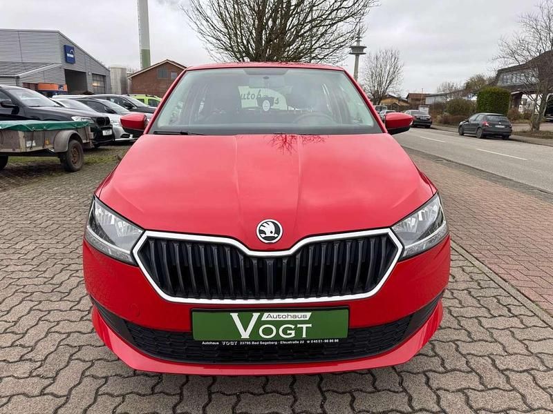 Gebraucht Skoda Fabia Active 60 PS (44 kW) 2020 Rot Kleinwagen