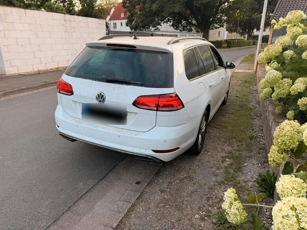 Gebraucht VW Golf VII 150 PS (110 kW) 2020 Weiß Kombi