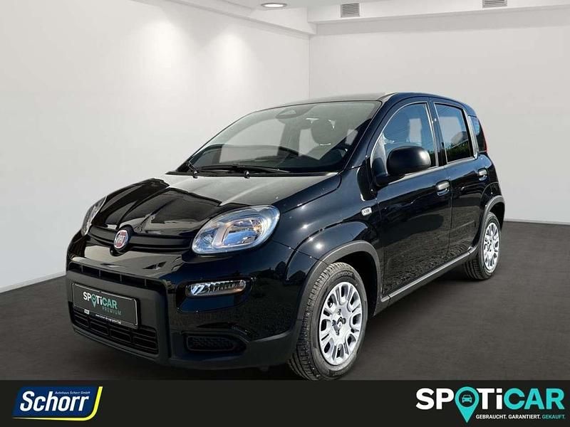 Cinema schwarz Gebraucht 2024 Fiat Panda Kleinwagen | 12.995 € (Fairer Preis) - Bild 1/4