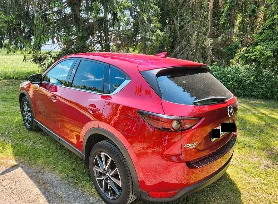 Gebraucht Mazda CX-5 184 PS (135 kW) 2019 Rot SUV