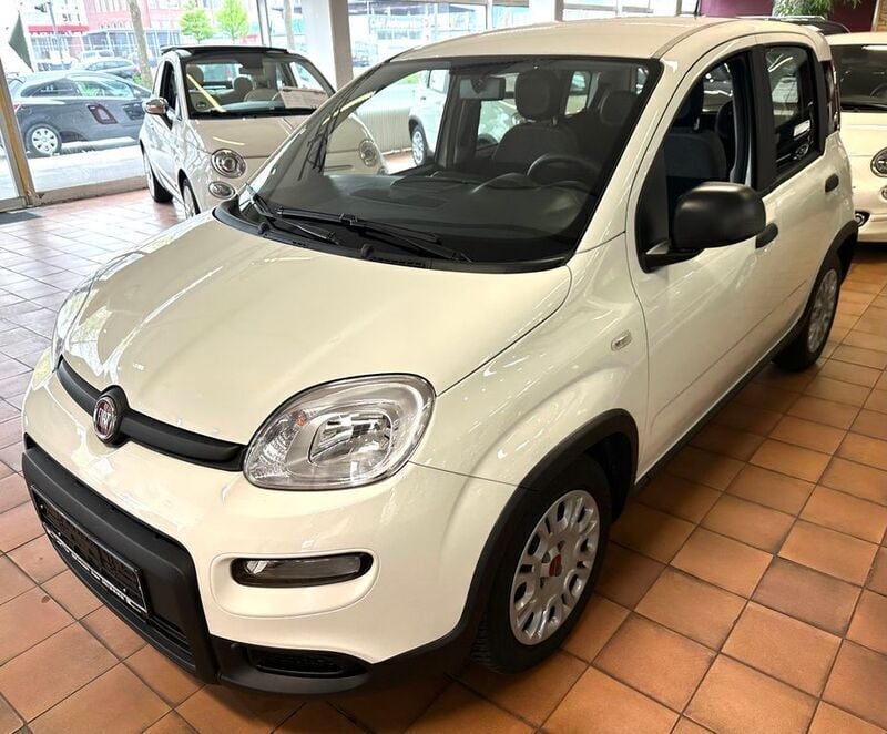 Gebraucht Fiat Panda 69 PS (50 kW) 2023 Weiß Kleinwagen