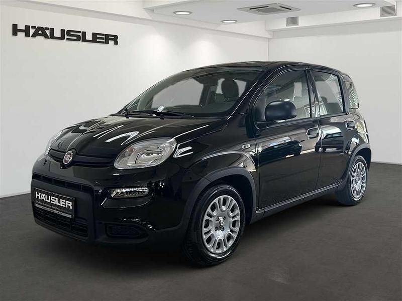 Schwarz Neu 2024 Fiat Panda Kleinwagen | 13.990 € (Fairer Preis) - Bild 1/4