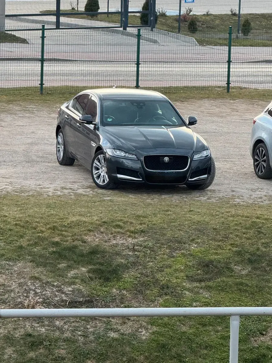Gebraucht Jaguar XF Pure 180 PS (132 kW) 2019 Limousine