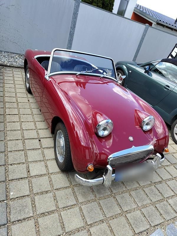 Gebraucht Austin Healey Frogeye 43 PS (31 kW) 1955 Cabrio