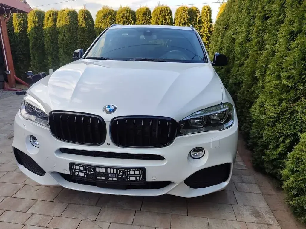 Gebraucht BMW X5 313 PS (230 kW) 2018 SUV