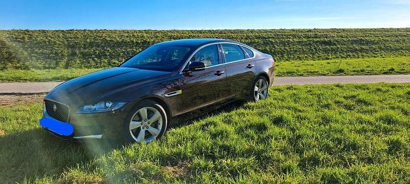 Gebraucht Jaguar XF Prestige 300 PS (220 kW) 2020 Rot Limousine