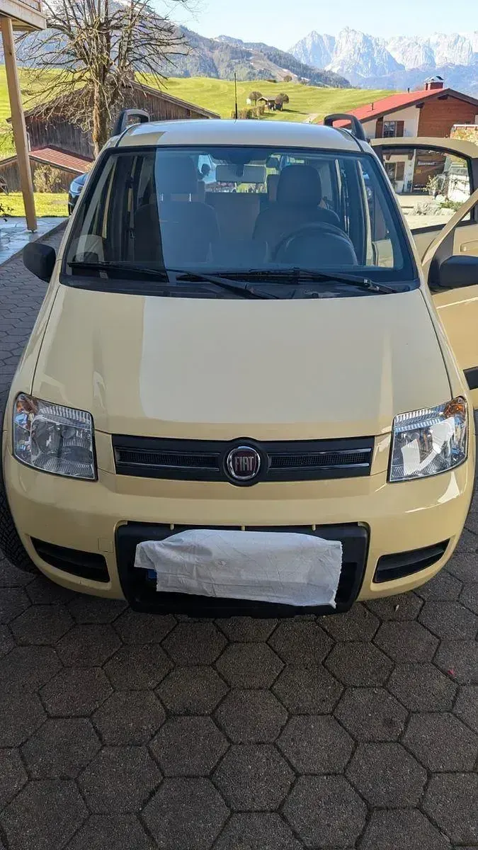 Gebraucht Fiat Panda 4x4 60 PS (44 kW) 2009 Gelb Kleinwagen