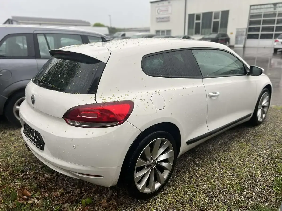 Gebraucht VW Scirocco 160 PS (117 kW) 2009 Candyweiß Coupé