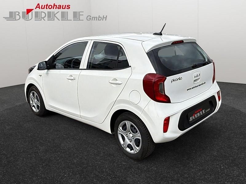 Gebraucht Kia Picanto Edition 7 67 PS (49 kW) 2023 Weiß Kleinwagen