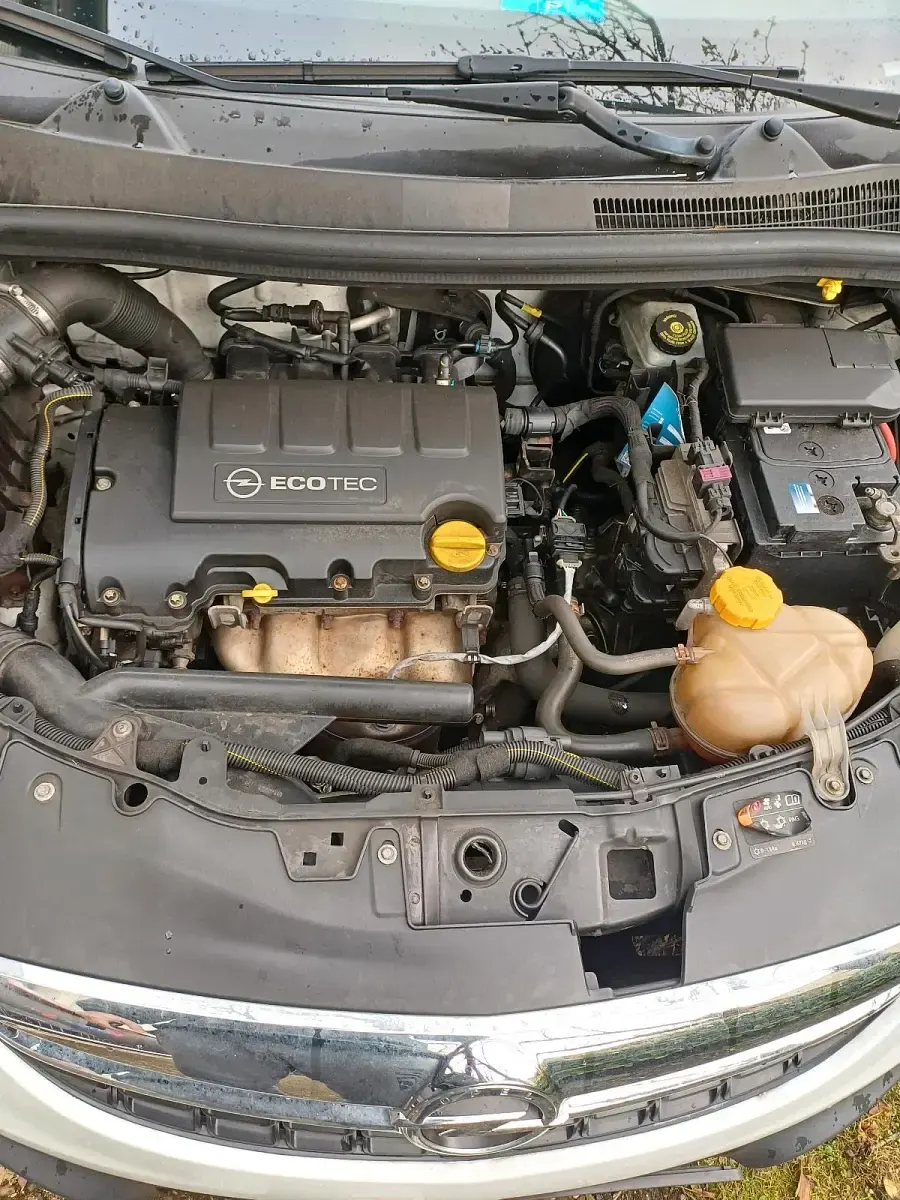 Gebraucht Opel Corsa 69 PS (50 kW) 2014 Weiß Kleinwagen
