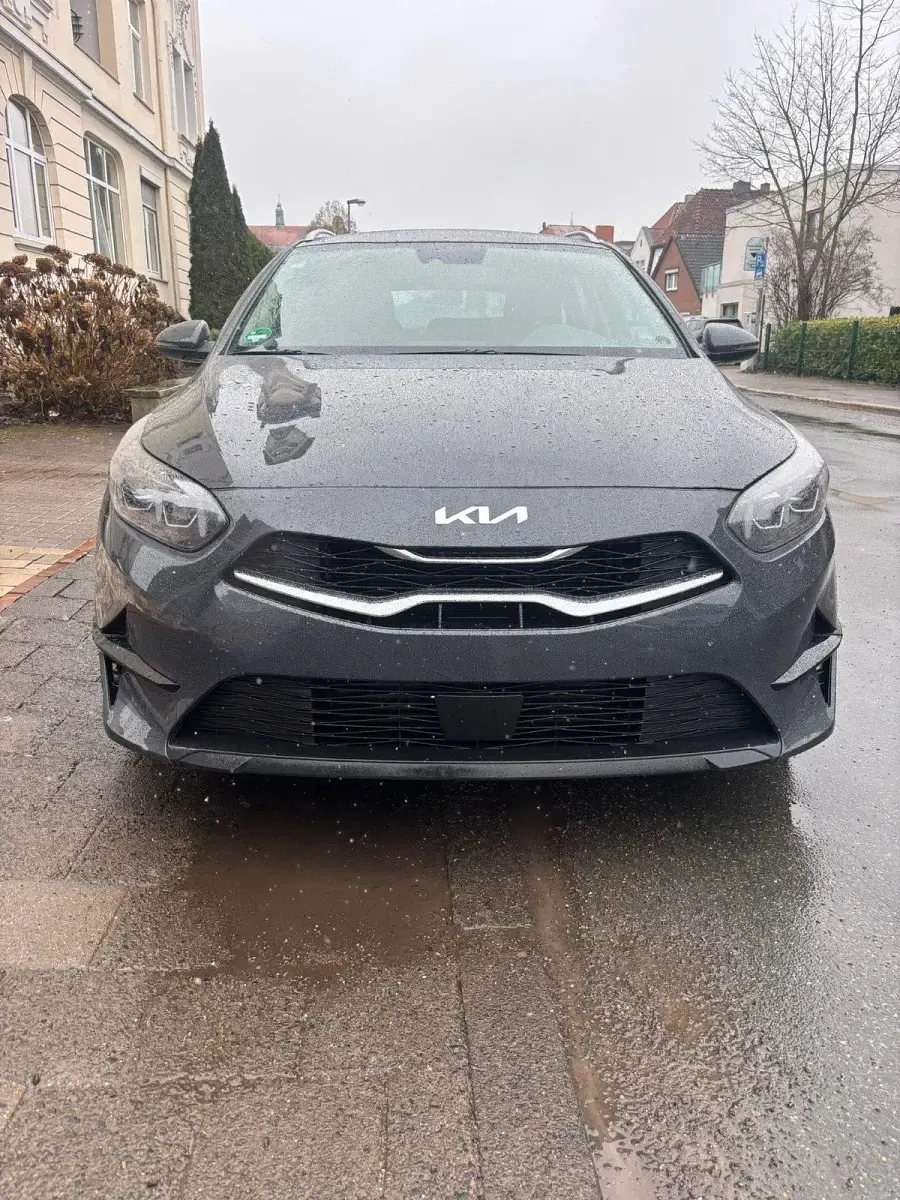 Gebraucht Kia Ceed 136 PS (100 kW) 2023 Grau Kleinwagen