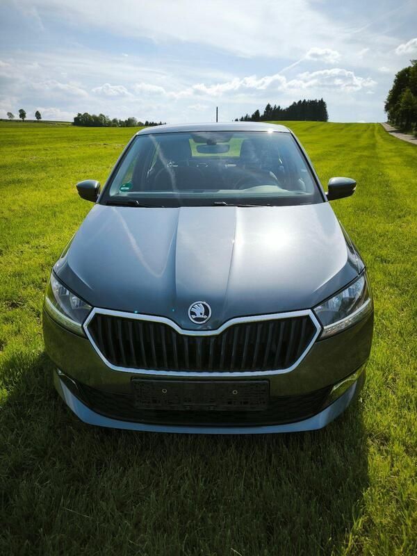 Grau Gebraucht 2020 Skoda Fabia Ambition Kleinwagen | 11.500 € (Superpreis) - Bild 1/4