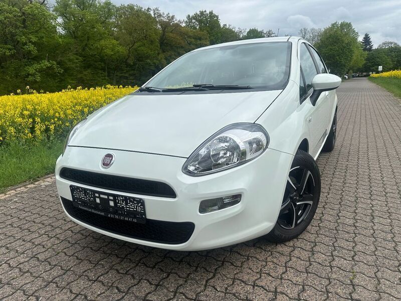 Weiß Gebraucht 2014 Fiat Punto Pop Kleinwagen | 6.390 € (Fairer Preis) - Bild 1/4