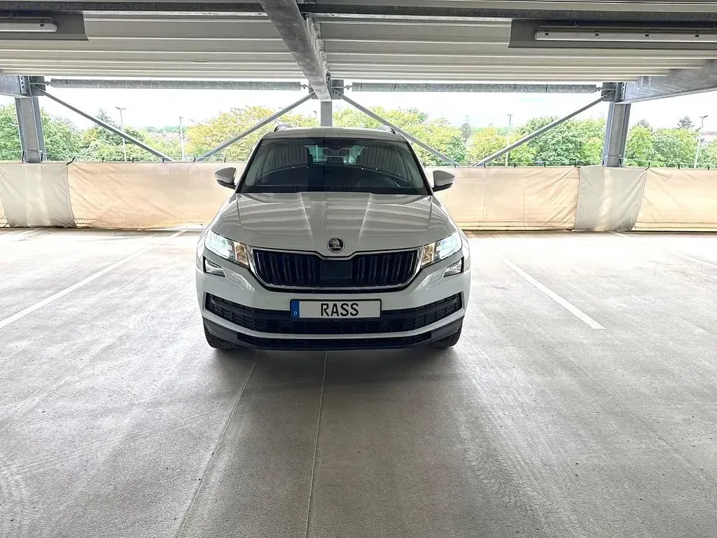 Gebraucht Skoda Kodiaq 150 PS (110 kW) 2017 Moonweiss metallic SUV