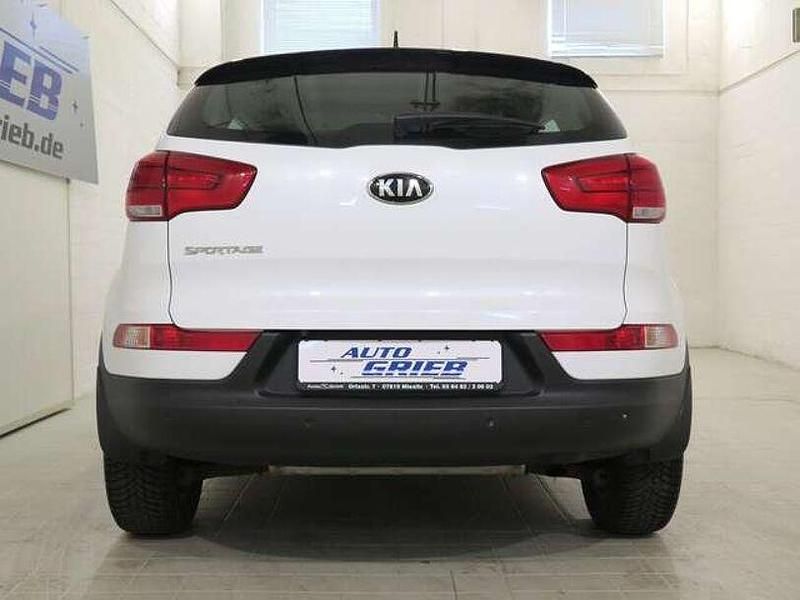 Gebraucht Kia Sportage Attract 135 PS (99 kW) 2016 Weiß SUV
