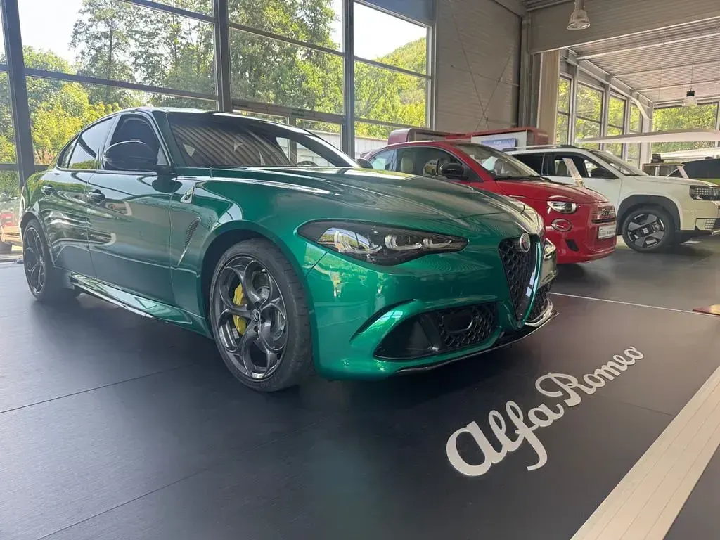 Neu Alfa Romeo Giulia Quadrifoglio 519 PS (381 kW) 2026 Grün Limousine