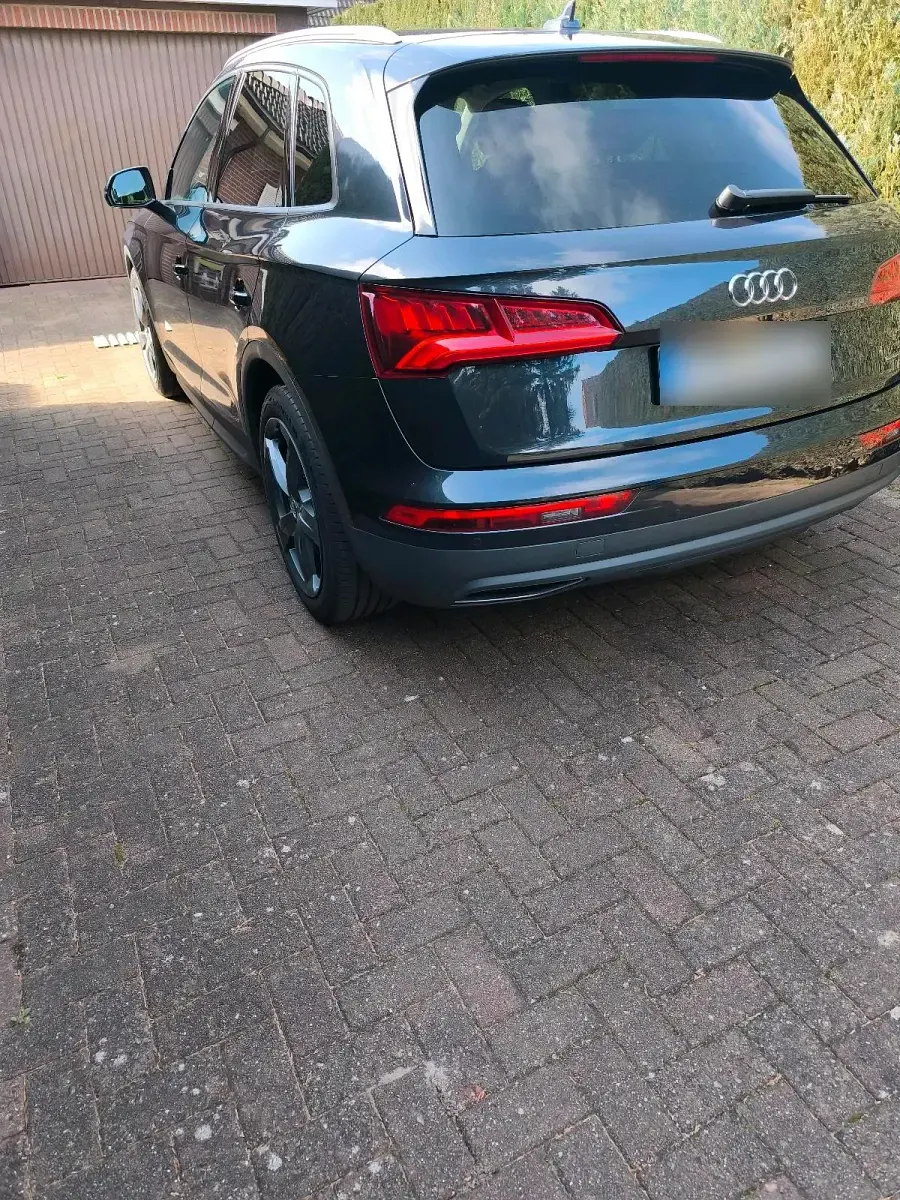 Gebraucht Audi Q5 192 PS (141 kW) 2019 Grau SUV