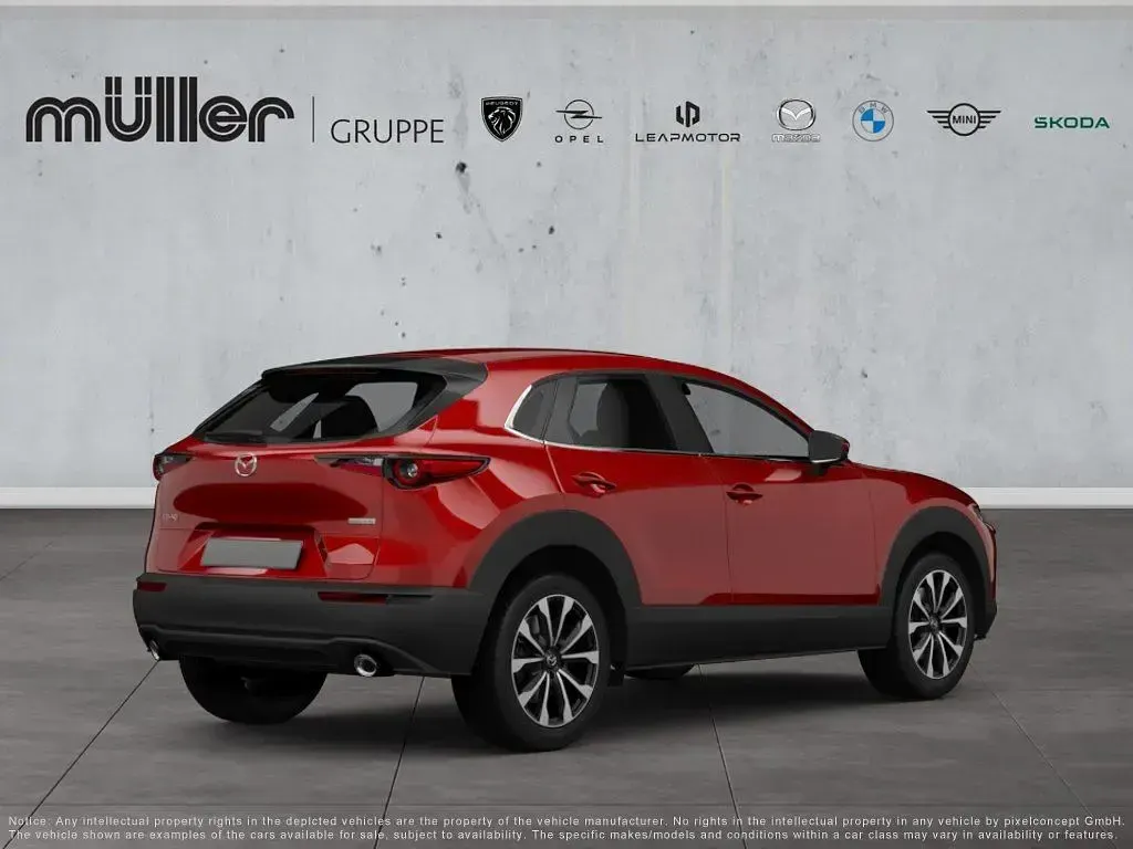 Gebraucht Mazda CX-30 Selection 122 PS (89 kW) 2020 Soul red crystal SUV