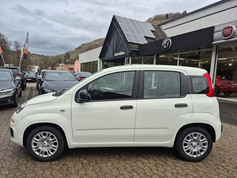 Neu Fiat Panda Icon 69 PS (50 kW) 2025 Weiss Limousine