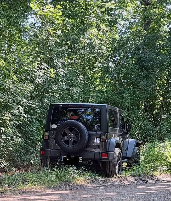 Gebraucht Jeep Wrangler Rubicon 200 PS (147 kW) 2017 Schwarz SUV