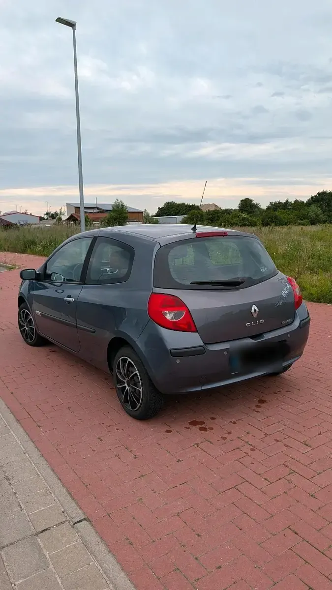 Gebraucht Renault Clio Rip Curl 75 PS (55 kW) 2007 Blau Kleinwagen