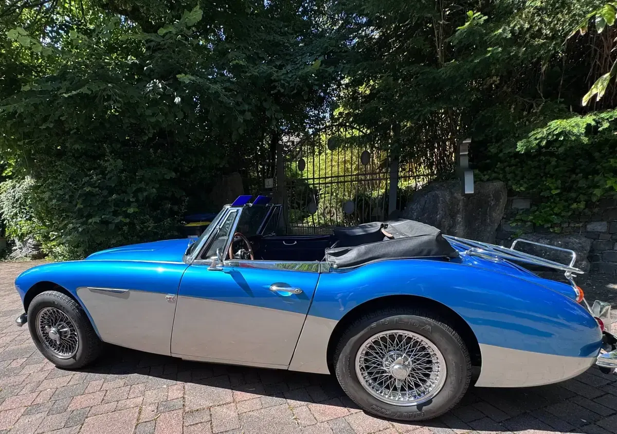 Gebraucht Austin Healey 3000 MK III 148 PS (108 kW) 1964 Blau Cabrio