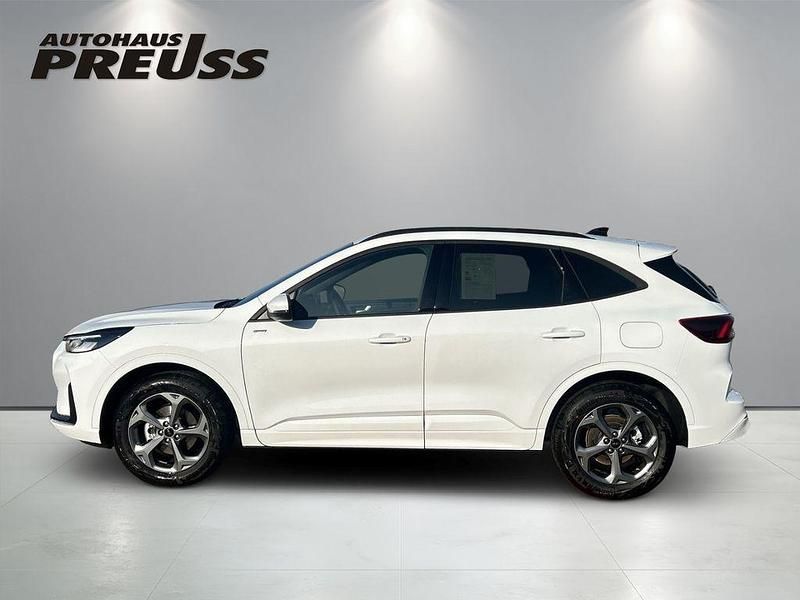 Neu Ford Kuga ST-Line 186 PS (136 kW) 2025 Frostweiß SUV