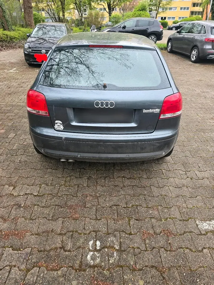 Usata Audi A3 105 CV (77 kW) 2006 Grigio Utilitaria