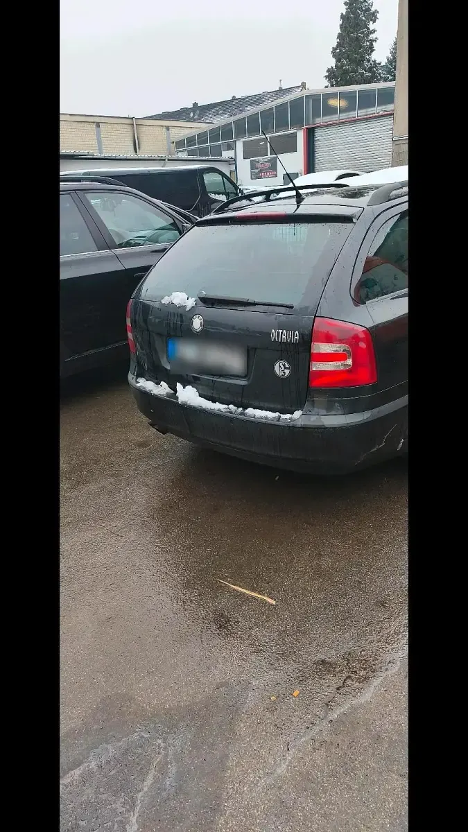 Gebraucht Skoda Octavia 115 PS (84 kW) 2026 Schwarz Kombi