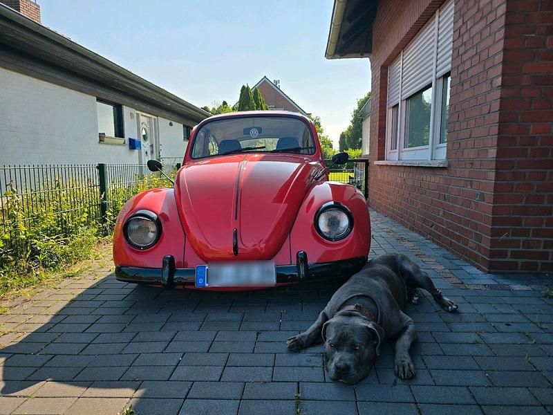 Gebraucht VW Käfer 34 PS (25 kW) 1974 Rot Coupé