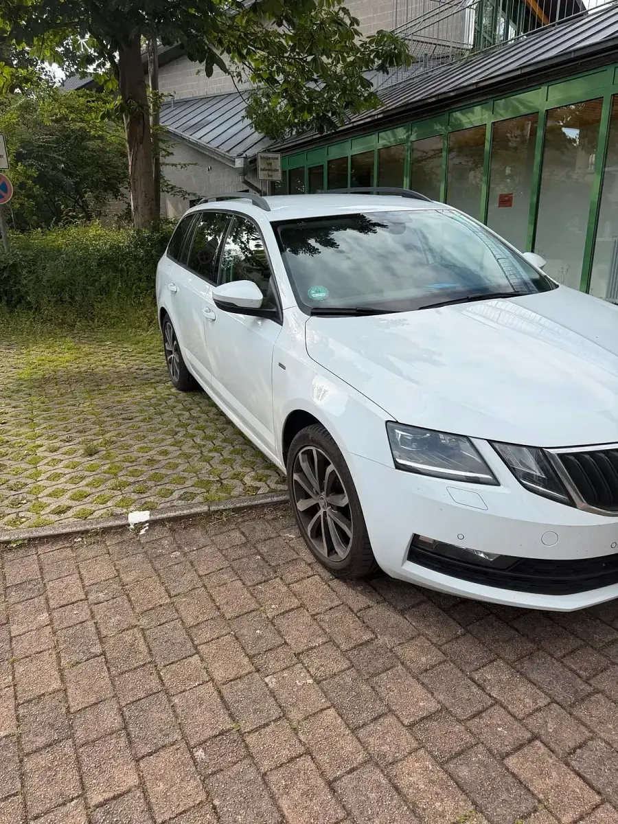 Gebraucht Skoda Octavia 116 PS (85 kW) 2017 Weiß Kombi