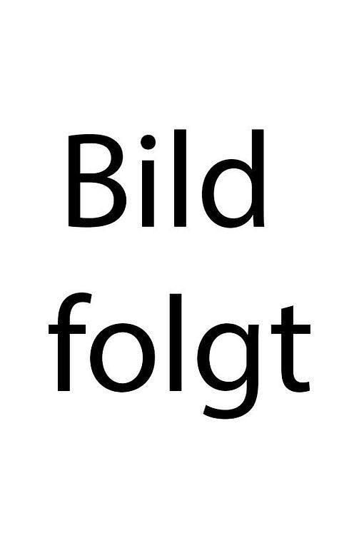 Gebraucht Citroën C4 Shine 110 PS (80 kW) 2020 Grau SUV