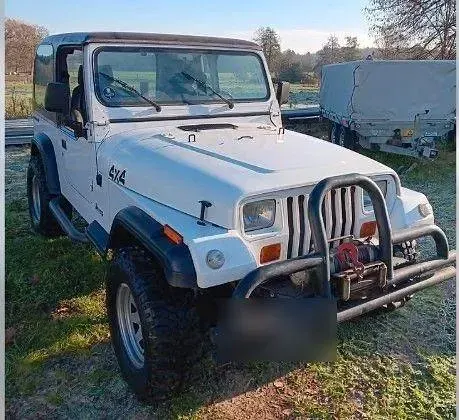 Gebraucht Jeep Wrangler 118 PS (86 kW) 1990 Weiß SUV